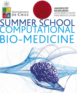 Summer School Computational Bio-Medicine, 14 al 26 de Enero de 2013 – Santiago de Chile