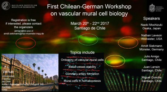 Anillo VISUAL-D invites to the “First Chilean-German Workshop on Mural Cell Biology”. March 20th-22th 2017, Pontificia Universidad Católica, Santiago, Chile.