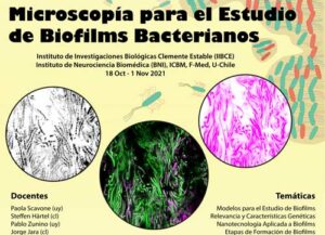 Microscopia para el Estudio de Biofilms Bacterianos