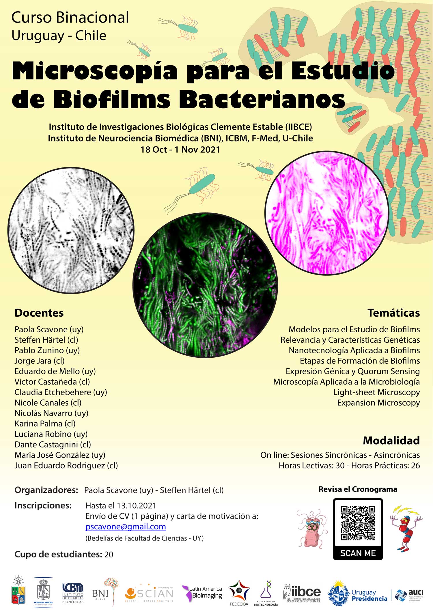 Microscopia Para El Estudio De Biofilms Bacterianos – SCIAN.CL