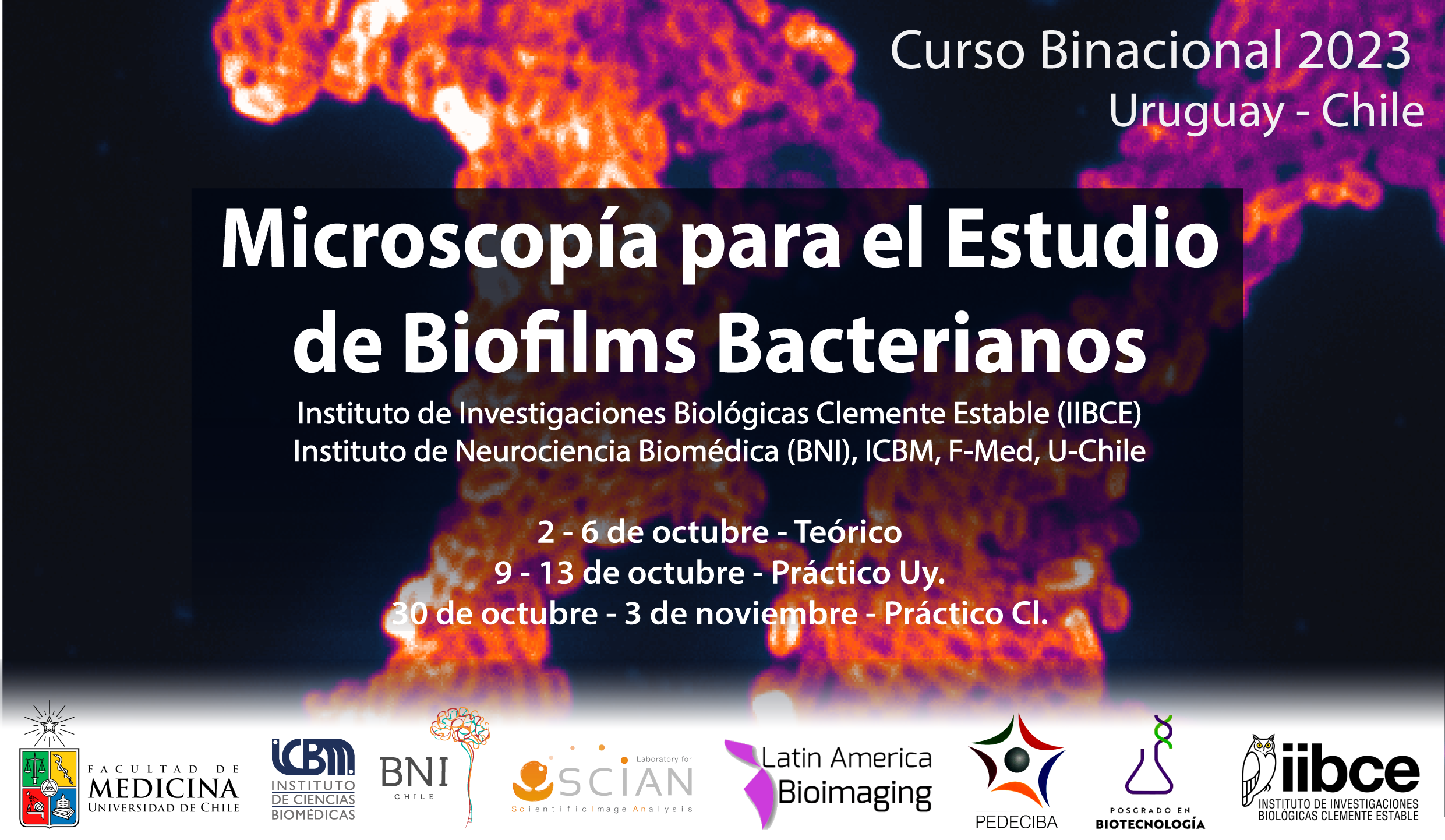 Curso Binacional de Postgrado: Microscopia para el estudio de Biofilms Bacterianos