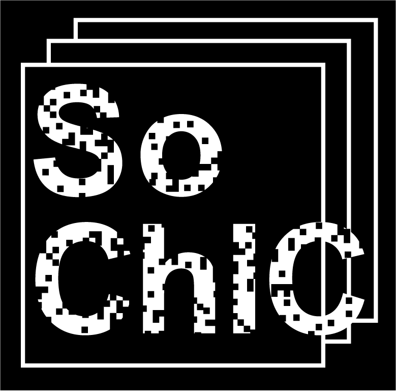 SoChIC 1st Annual Meeting