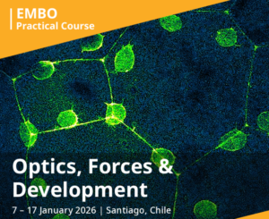 Optics, Forces and Development EMBO Course 2026